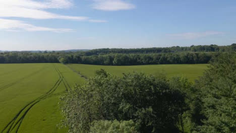 Drone-Shot-Rising-Above-Trees-In-Agricultural-Field-