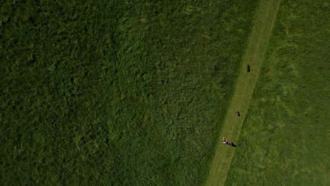 Drone-Shot-Looking-Down-On-Dog-Walkers-In-Field-