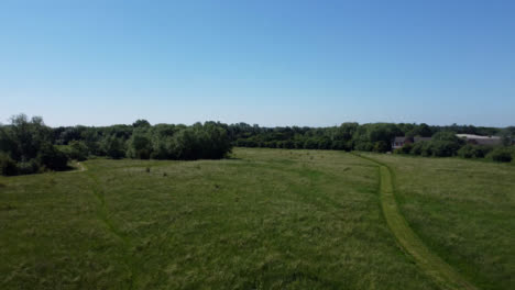 Drone-Shot-Flying-Low-Over-and-Then-Rising-Up-Over-a-Tall-Grass-Field-