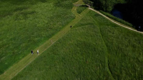 Drone-Shot-Approaching-Dog-Walkers-On-Rural-Field-Path