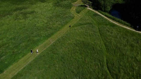 Drone-Shot-Acercándose-A-Paseadores-De-Perros-En-La-Ruta-De-Campo-Rural