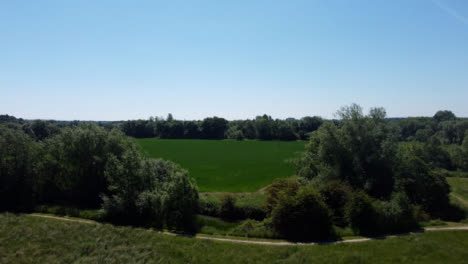 Drone-Shot-Flying-Low-Over-Tall-Grass-and-Then-Rising-Up--