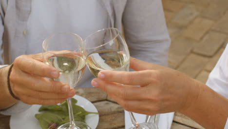 Close-Up-Shot-of-Middle-Aged-Couple-Bringing-Their-Wine-Glasses-Together