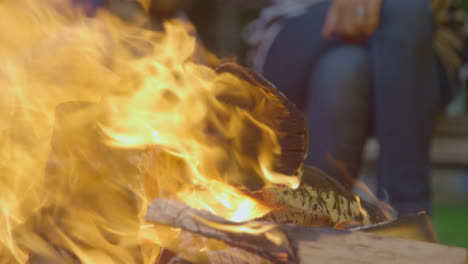 Close-Up-Shot-of-a-Burning-Campfire-02