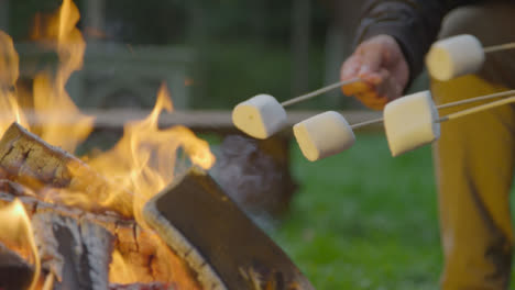 Close-Up-Shot-of-Marshmallows-On-Sticks-by-Campfire-01
