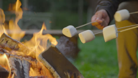 Nahaufnahme-Von-Marshmallows-Auf-Stöcken-Am-Lagerfeuer-01