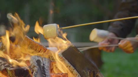 Close-Up-Shot-of-Marshmallows-On-Sticks-by-Campfire-02