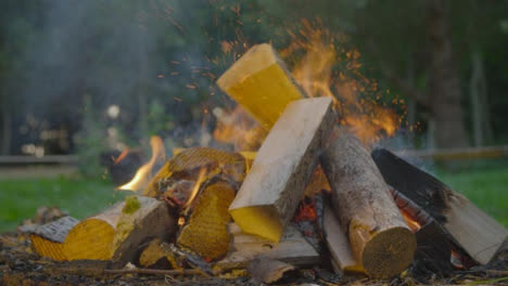 Close-Up-Shot-of-Wood-Being-Thrown-Onto-a-Burning-Campfire-