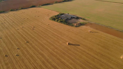 Disparo-De-Drone-Panorámica-Sobre-Algunos-Campos-Rurales