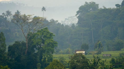 Tiro-Largo-De-La-Jungla-Y-La-Cabaña-En-Bali