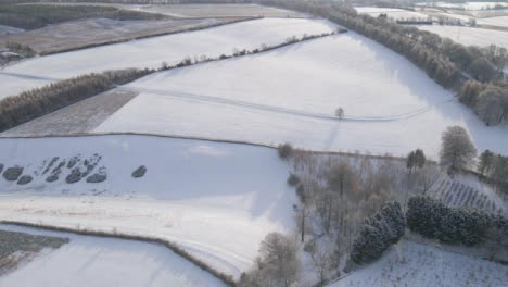 Drone-Shot-Descending-On-Snow-Covered-Cotswold-Fields