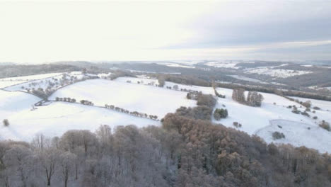 Drone-Shot-Flying-Over-Snowy-Woods-In-Cotswolds