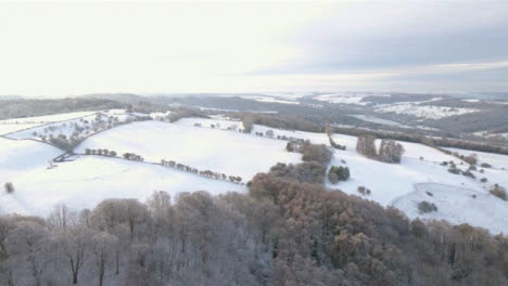 Drohnenschuss-Fliegt-über-Verschneite-Wälder-In-Den-Cotswolds