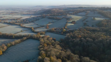 Drone-Shot-Panning-Down-to-Woodland-On-Frosty-Morning
