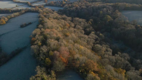 Drohnenaufnahme,-Die-An-Einem-Frostigen-Morgen-In-Den-Wald-Schwenkt