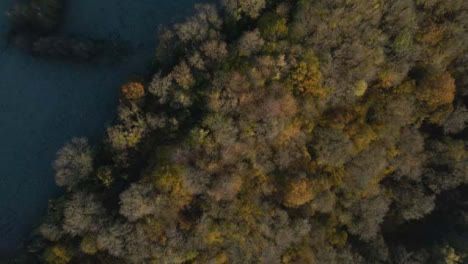 Drone-Shot-Mirando-Hacia-Abajo-En-Los-Bosques-Rurales-Durante-La-Helada-Mañana