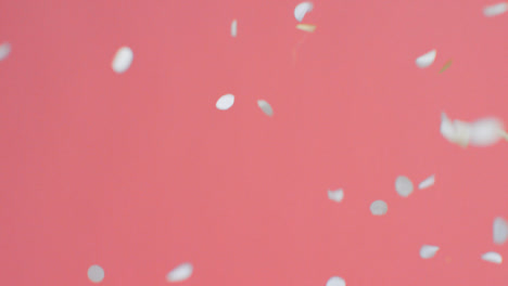 Stationary-Shot-of-White-and-Gold-Confetti-Falling-Against-Pink-Background