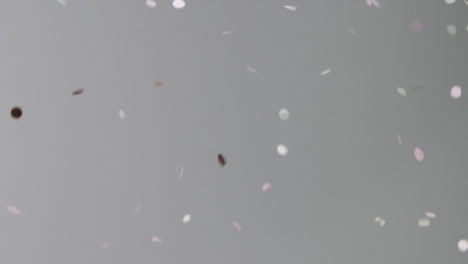 Stationary-Shot-of-Pink-and-White-Confetti-Falling-Against-a-Grey-Background
