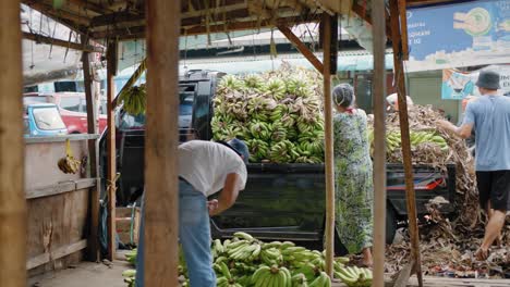 Tracking-Shot-of-People-Unloading-Bananas-from-a-Van