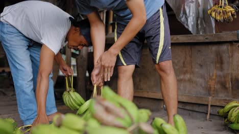 Close-Up-Shot-of-People-Preparing-Bananas-for-Sale-