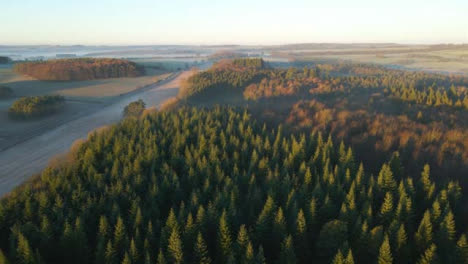 Drohnenschuss,-Der-An-Einem-Nebligen-Morgen-Bei-Sonnenaufgang-über-Wald-Fliegt