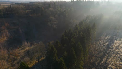 Drohnenschuss-Umkreist-Waldgebiet,-Während-Sonnenlicht-Durch-Die-Bäume-Bricht