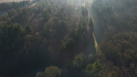 Drohnenschuss,-Der-über-Einen-Wald-Fliegt,-Während-Sonnenlicht-Durch-Bäume-Bricht