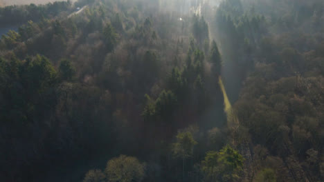 Disparo-De-Dron-Volando-Sobre-Un-Bosque-Mientras-La-Luz-Del-Sol-Estalla-A-Través-De-Los-árboles