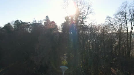 Drone-Shot-Rising-Above-Woodland-Area-at-Sunrise