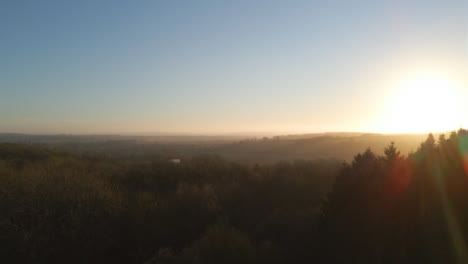Drone-Shot-Rising-Above-a-Woodland-Area-During-Sunrise