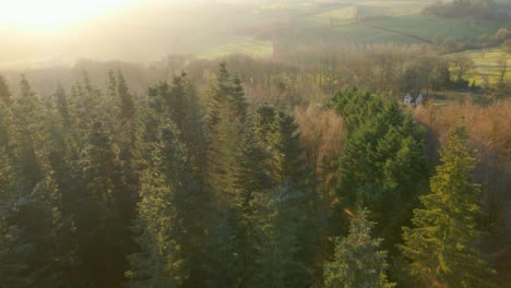 Drone-Shot-of-Flying-Over-a-Forest-Area-During-Sunrise