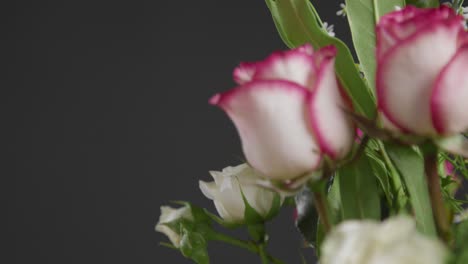 Zoomaufnahme-Von-Rosa-Und-Weißen-Blüten