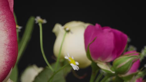 Close-Up-Shot-of-White-and-Pink-Flowers-03