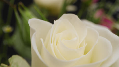 Defocused-Shot-of-a-White-Flower