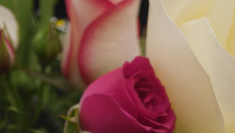 Nahaufnahme-Von-Rosa-Und-Weißen-Blüten