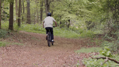 Mann-Auf-Dem-Mountainbike,-Der-Auf-Dem-Weg-Durch-Landschaft-Und-Wald-Radelt