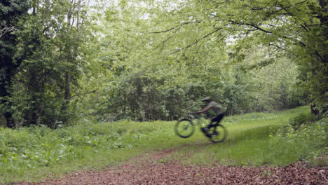 Mann-Auf-Dem-Mountainbike,-Der-Mit-Geschwindigkeit-Auf-Dem-Pfad-Durch-Landschaft-Und-Wald-Radelt