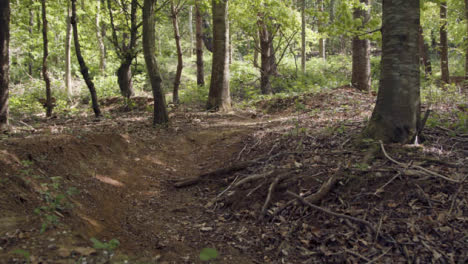 Empty-Mountain-Bike-Dirt-Trail-Through-Woodland-