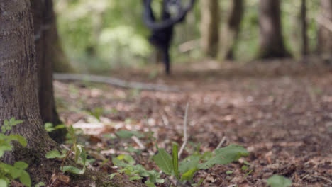 Slow-Motion-Shot-Of-Man-On-Mountain-Bike-Cycling-Along-Trail-Through-Woodland-Doing-Wheelie