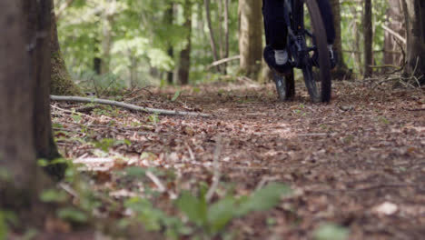Low-Angle-Slow-Motion-Shot-Of-Man-On-Mountain-Bike-Cycling-Along-Trail-Through-Woodland
