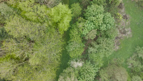 Drone-Aerial-Shot-Of-Trail-Through-Countryside-And-Woodland