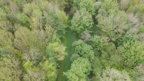 Toma-Aérea-De-Drones-De-Un-Hombre-En-Bicicleta-De-Montaña-Recorriendo-Un-Sendero-A-Través-Del-Campo-Y-El-Bosque-4