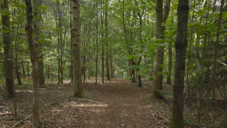 Drone-Aerial-Shot-Of-Trail-Through-Countryside-And-Woodland