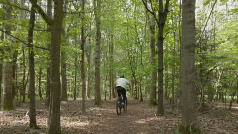 Drohnen-Tracking-Mann-Auf-Dem-Mountainbike,-Der-Auf-Dem-Weg-Durch-Landschaft-Und-Wald-Radelt