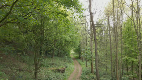 Drone-Tracking-Shot-Of-Trail-Through-Countryside-And-Woodland-4
