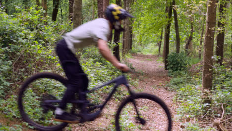 Disparo-A-Cámara-Lenta-Del-Hombre-En-Bicicleta-De-Montaña-En-Bicicleta-A-Lo-Largo-Del-Sendero-A-Través-Del-Bosque-2