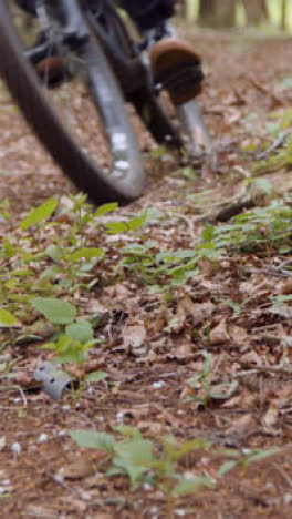 Close-Up-Vertical-Video-Of-Man-On-Mountain-Bike-Cycling-Along-Dirt-Trail-Through-Woodland-