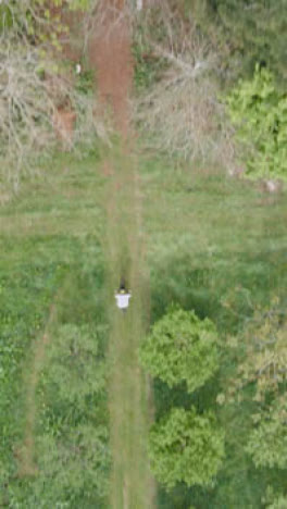 Close-Up-Vertical-Video-Of-Man-On-Mountain-Bike-Cycling-Along-Dirt-Trail-Through-Woodland