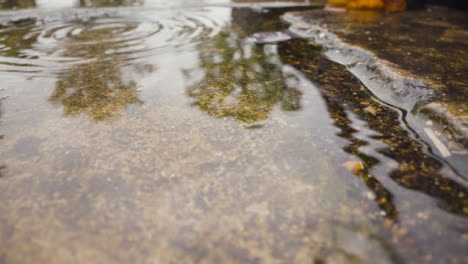 Close-Up-Of-Rain-Falling-In-Puddles-On-Pavement-1