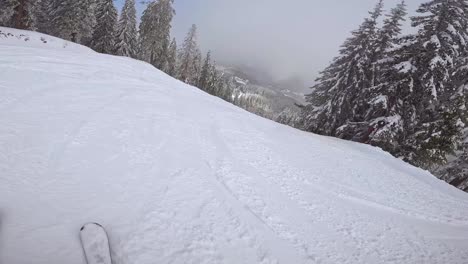 POV-Aufnahme-Eines-Skifahrers,-Der-Die-Schneebedeckte-Piste-Hinunterfährt-4